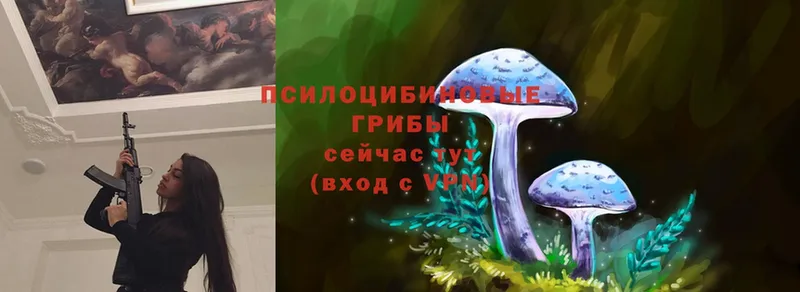 Псилоцибиновые грибы Magic Shrooms  Верея 